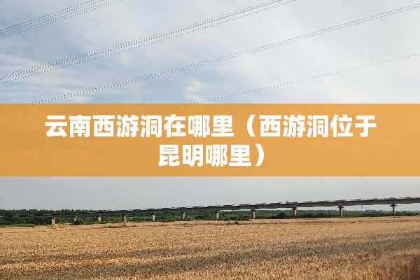 云南西游洞在哪里（西游洞位于昆明哪里）