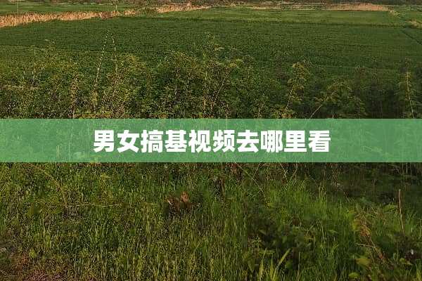 男女搞基视频去哪里看