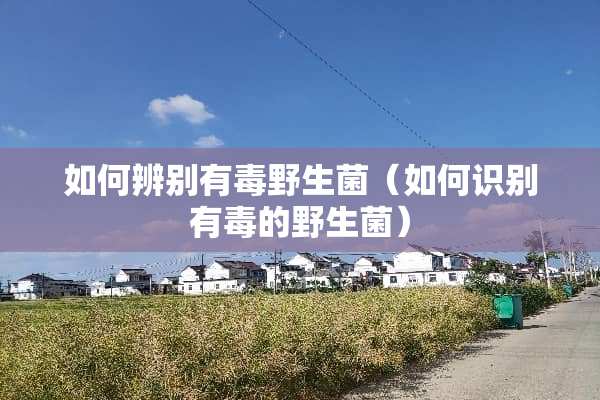 如何辨别有毒野生菌（如何识别有毒的野生菌）