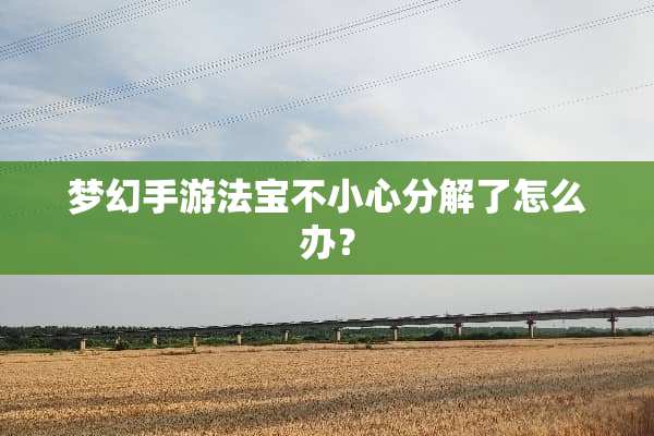 梦幻手游法宝不小心分解了怎么办？