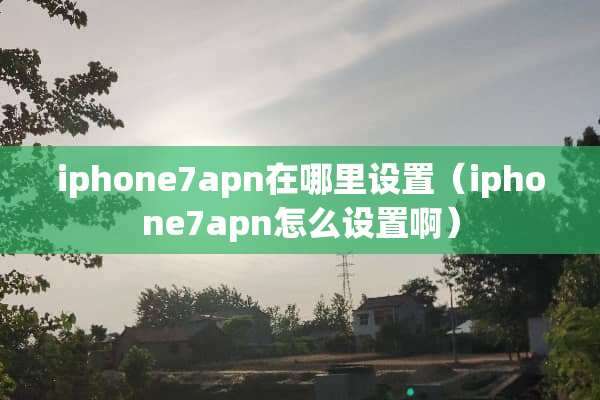 iphone7apn在哪里设置（iphone7apn怎么设置啊）