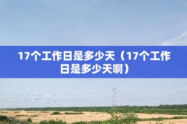 17个工作日是多少天（17个工作日是多少天啊）