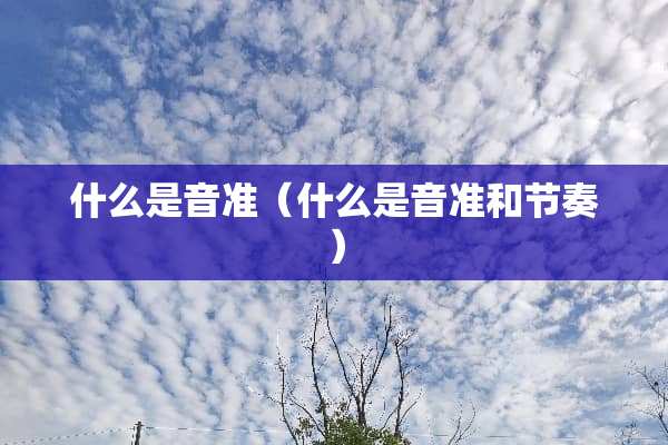 什么是音准（什么是音准和节奏）