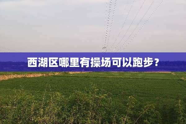 西湖区哪里有操场可以跑步？