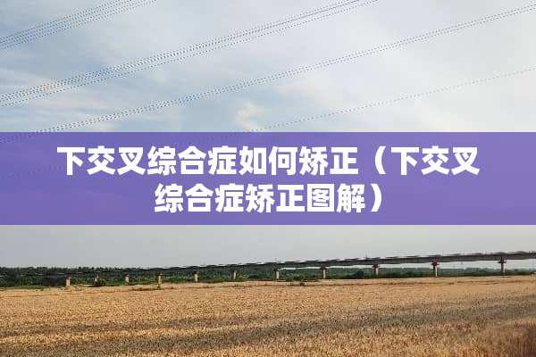 下交叉综合症如何矫正（下交叉综合症矫正图解）