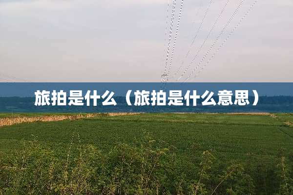 旅拍是什么（旅拍是什么意思）
