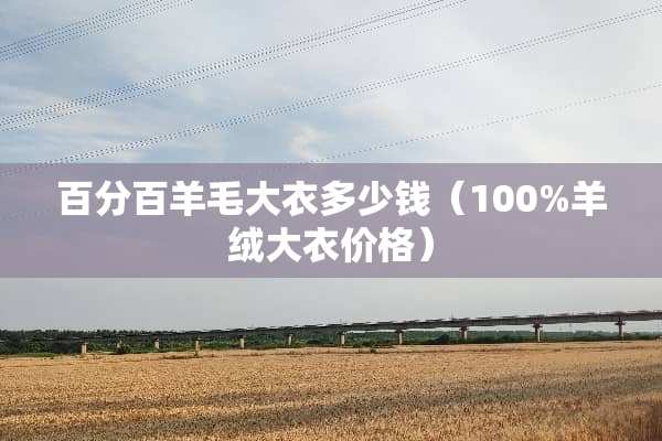 百分百羊毛大衣多少钱（100%羊绒大衣价格）