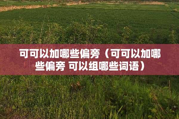 可可以加哪些偏旁（可可以加哪些偏旁 可以组哪些词语）