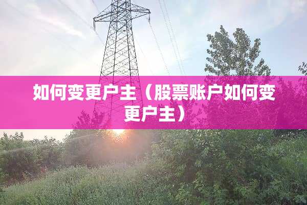 如何变更户主（股票账户如何变更户主）