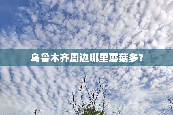 乌鲁木齐周边哪里蘑菇多？