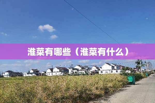 淮菜有哪些（淮菜有什么）