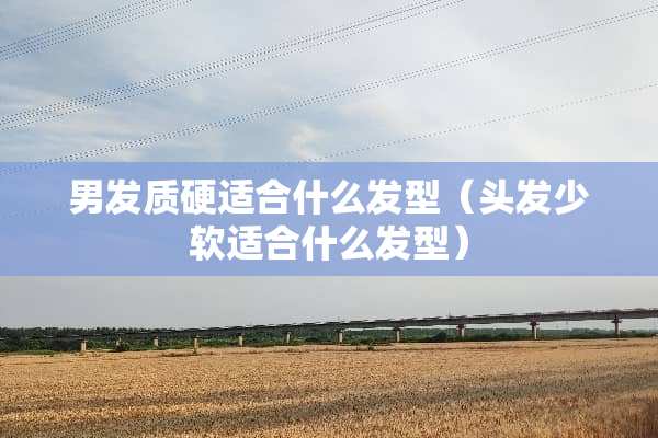 男发质硬适合什么发型（头发少软适合什么发型）