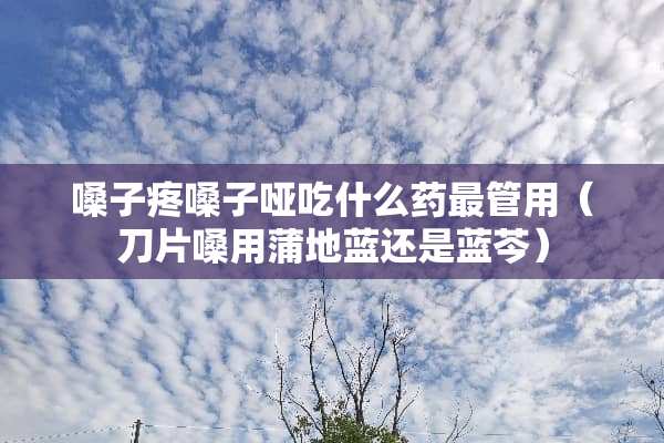 嗓子疼嗓子哑吃什么药最管用（刀片嗓用蒲地蓝还是蓝芩）