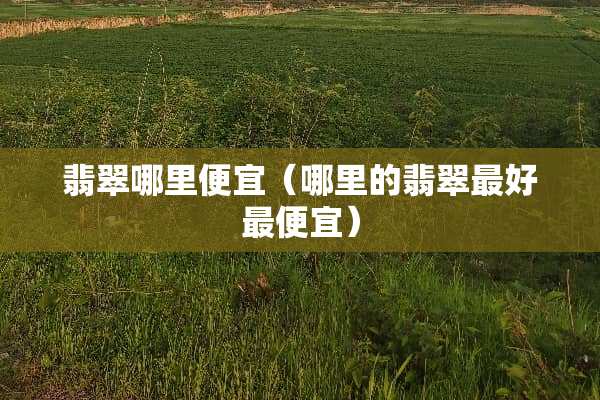 翡翠哪里便宜（哪里的翡翠最好最便宜）
