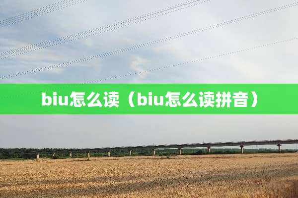 biu怎么读（biu怎么读拼音）