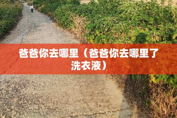 爸爸你去哪里（爸爸你去哪里了洗衣液）