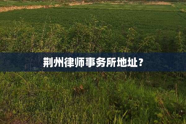 荆州律师事务所地址？