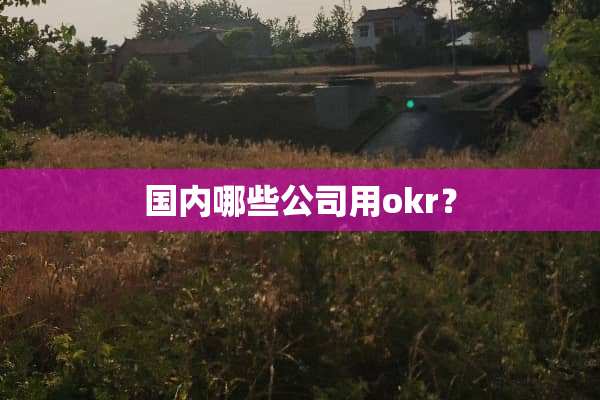 国内哪些公司用okr？