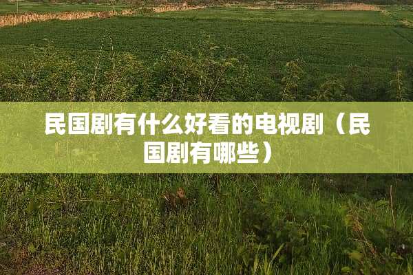 **剧有什么好看的电视剧（**剧有哪些）