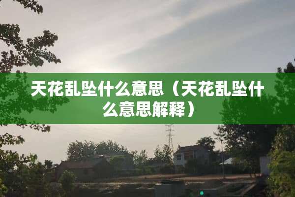 天花乱坠什么意思（天花乱坠什么意思解释）