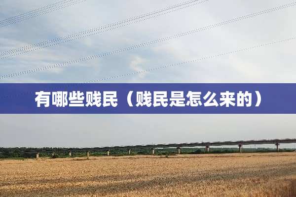 有哪些贱民（贱民是怎么来的）