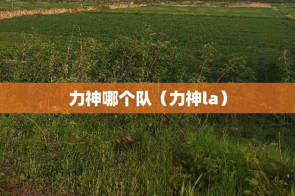 力神哪个队（力神la）