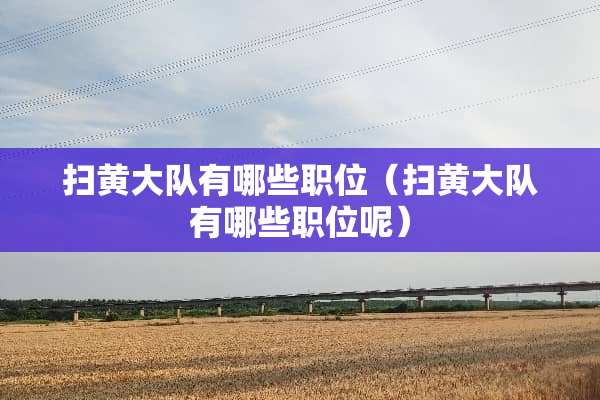 扫黄大队有哪些职位（扫黄大队有哪些职位呢）