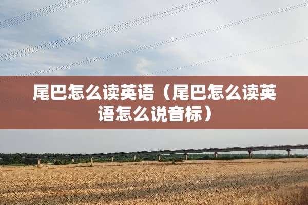 尾巴怎么读英语（尾巴怎么读英语怎么说音标）