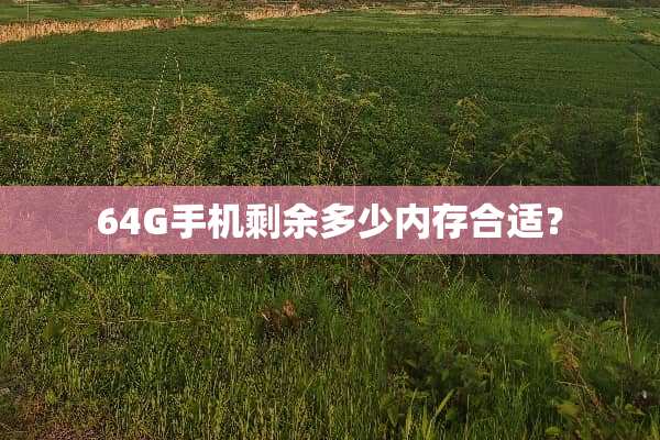 64G手机剩余多少内存合适？
