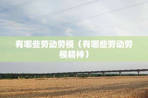 有哪些劳动劳模（有哪些劳动劳模精神）