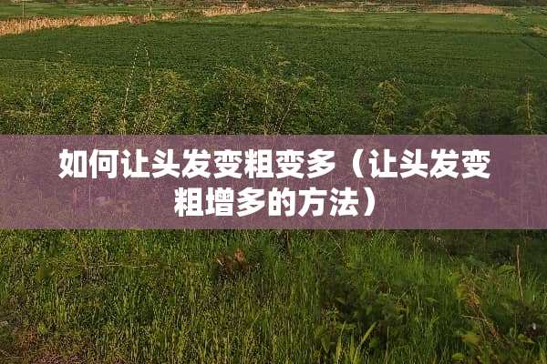如何让头发变粗变多（让头发变粗增多的方法）