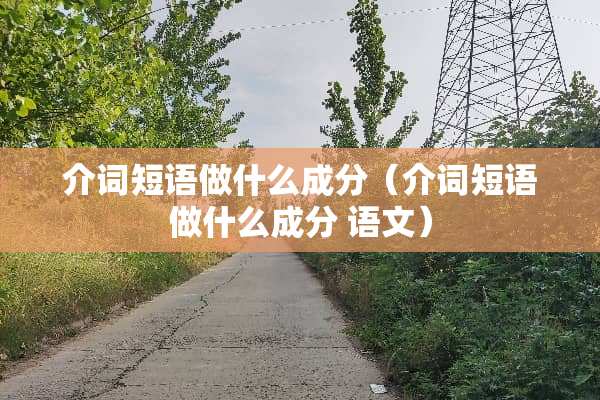 介词短语做什么成分（介词短语做什么成分 语文）