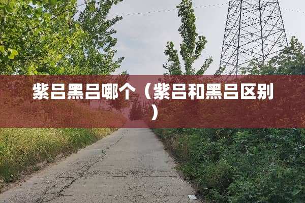 紫吕黑吕哪个（紫吕和黑吕区别）