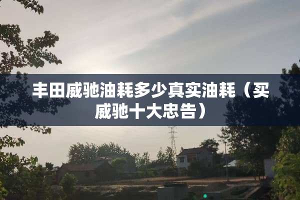 丰田威驰油耗多少真实油耗（买威驰十大忠告）