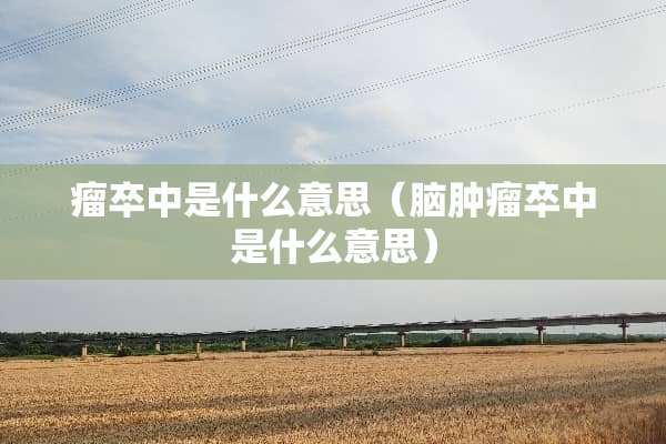 瘤卒中是什么意思（脑肿瘤卒中是什么意思）