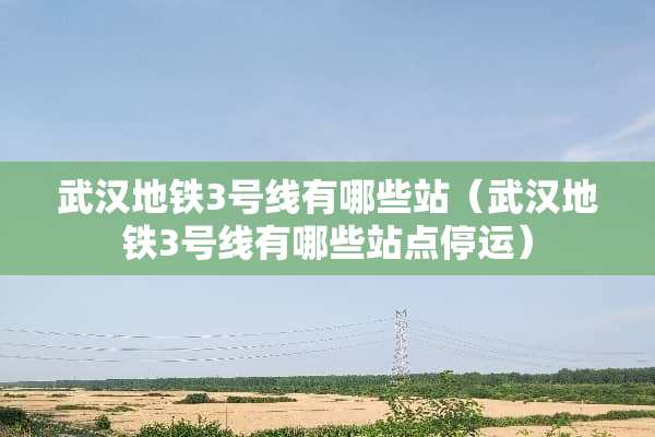 武汉地铁3号线有哪些站（武汉地铁3号线有哪些站点停运）