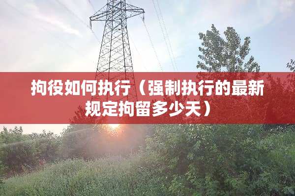 拘役如何执行（强制执行的最新规定拘留多少天）