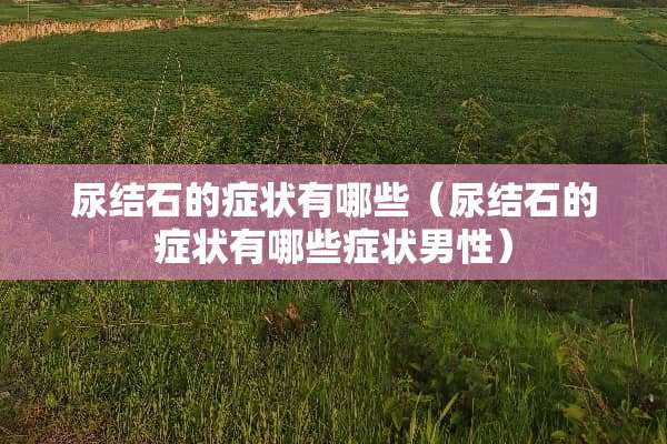 尿结石的症状有哪些（尿结石的症状有哪些症状男性）