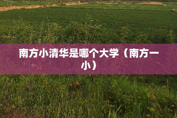 南方小清华是哪个大学（南方一小）