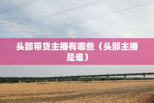 头部带货主播有哪些（头部主播是谁）