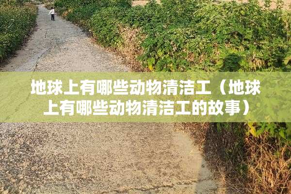 地球上有哪些动物清洁工（地球上有哪些动物清洁工的故事）