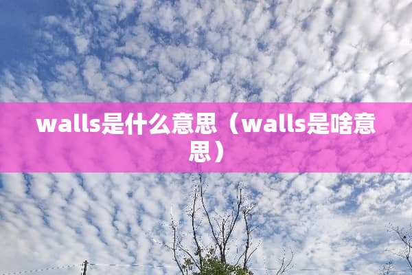 walls是什么意思（walls是啥意思）