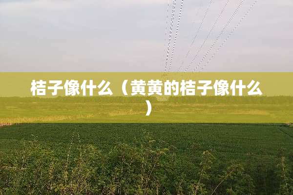 桔子像什么（黄黄的桔子像什么）