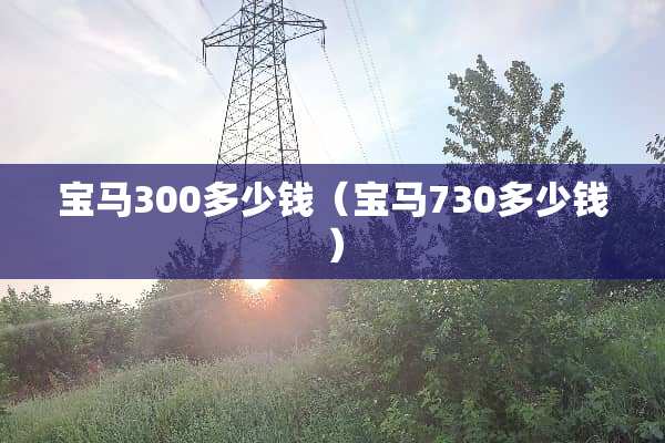 宝马300多少钱（宝马730多少钱）
