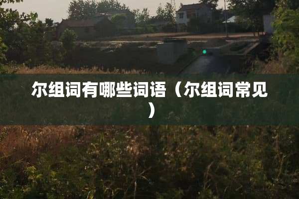 尔组词有哪些词语（尔组词常见）