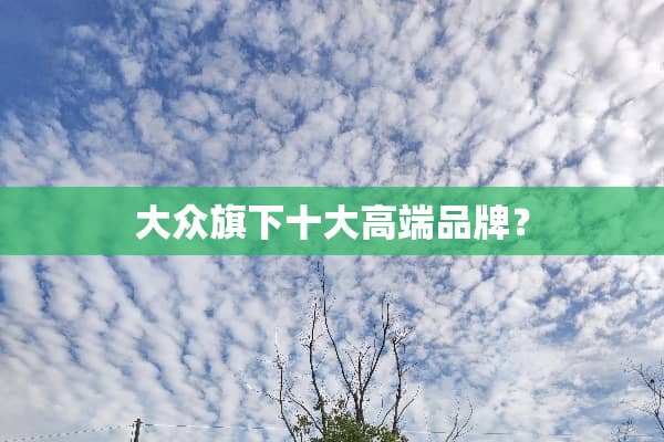 大众旗下十大高端品牌？