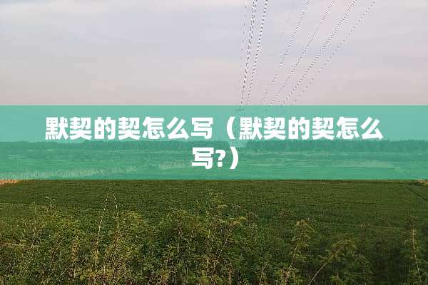 默契的契怎么写（默契的契怎么写?）