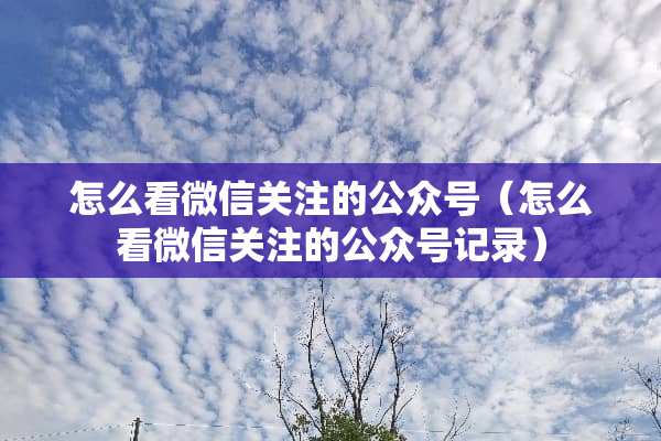 怎么看微信关注的公众号（怎么看微信关注的公众号记录）