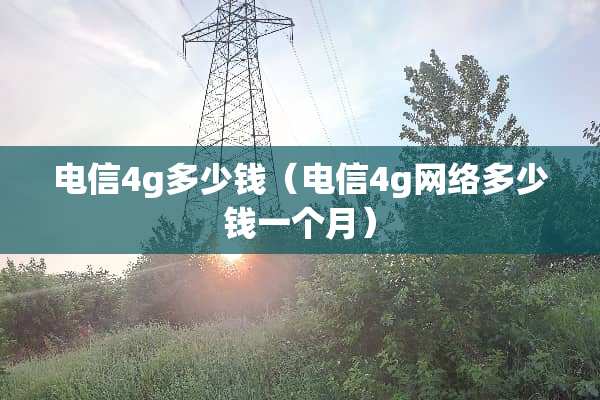 电信4g多少钱（电信4g网络多少钱一个月）
