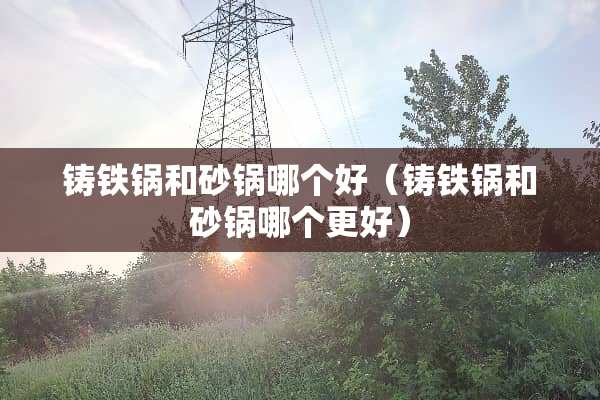铸铁锅和砂锅哪个好（铸铁锅和砂锅哪个更好）